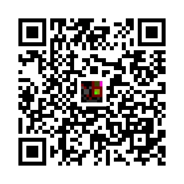 skins.qr_code_alt