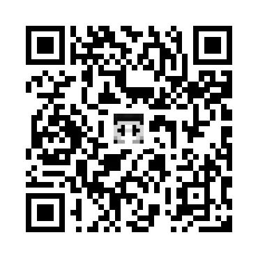 skins.qr_code_alt
