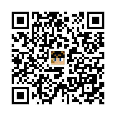 skins.qr_code_alt