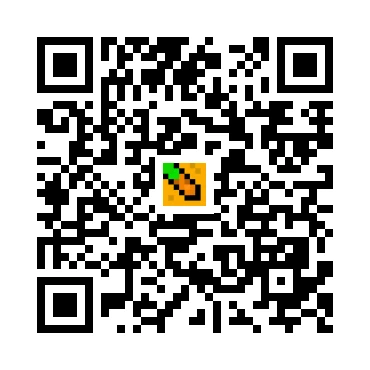 skins.qr_code_alt