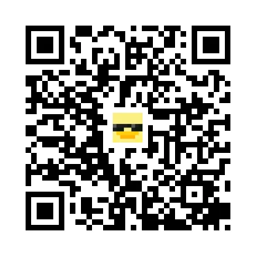 skins.qr_code_alt
