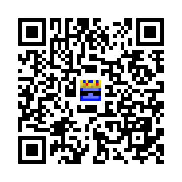 skins.qr_code_alt