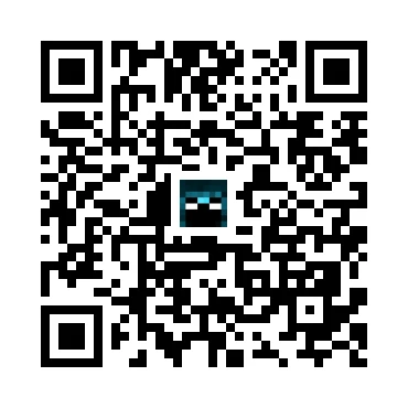 skins.qr_code_alt