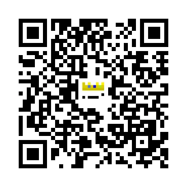 skins.qr_code_alt