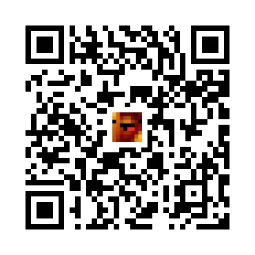 skins.qr_code_alt