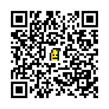 skins.qr_code_alt