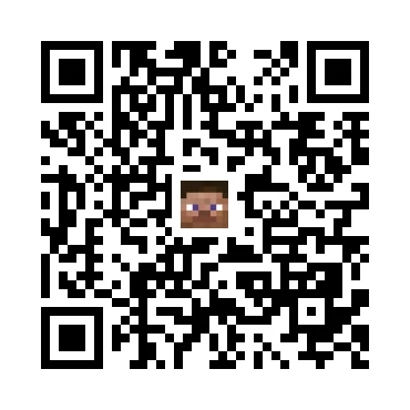skins.qr_code_alt