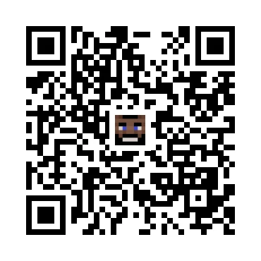 skins.qr_code_alt