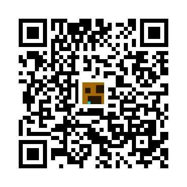 skins.qr_code_alt