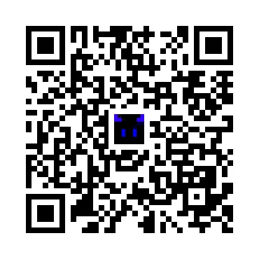 skins.qr_code_alt