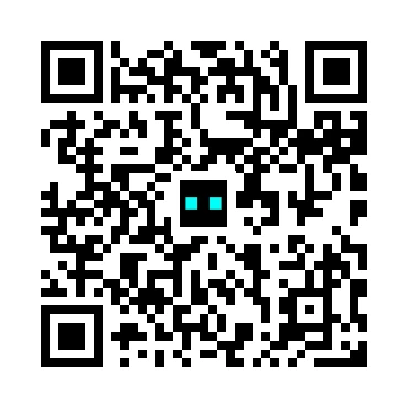 skins.qr_code_alt