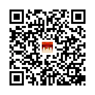 skins.qr_code_alt