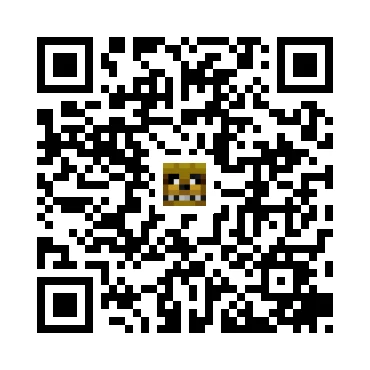 skins.qr_code_alt