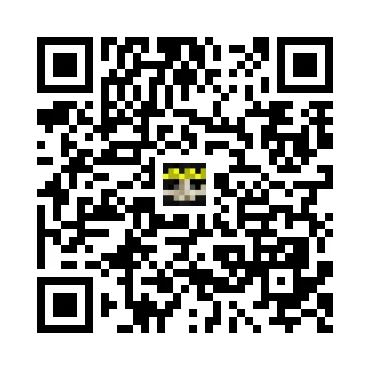 skins.qr_code_alt