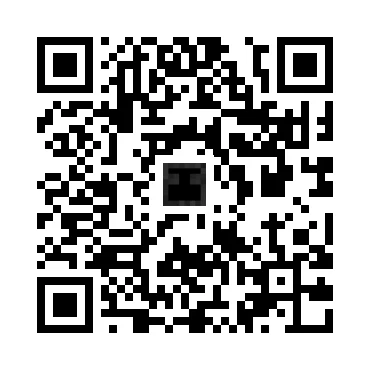 skins.qr_code_alt