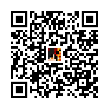 skins.qr_code_alt