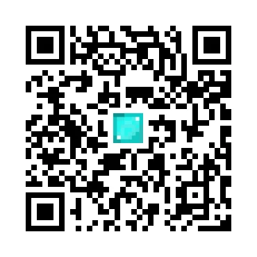 skins.qr_code_alt