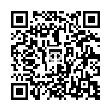 skins.qr_code_alt