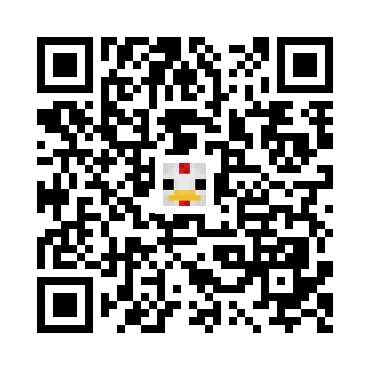 skins.qr_code_alt