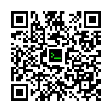 skins.qr_code_alt