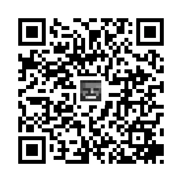 skins.qr_code_alt