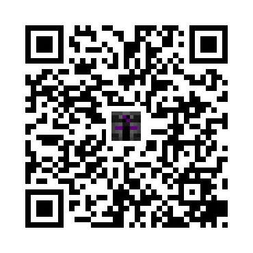 skins.qr_code_alt