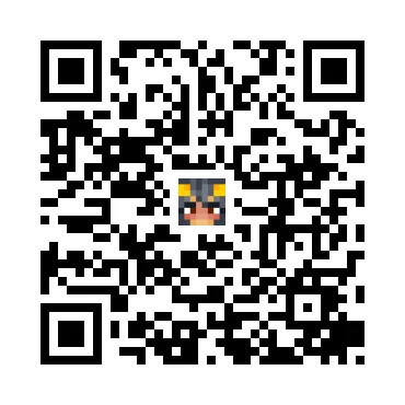 skins.qr_code_alt