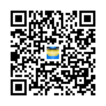 skins.qr_code_alt