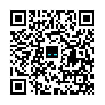 skins.qr_code_alt
