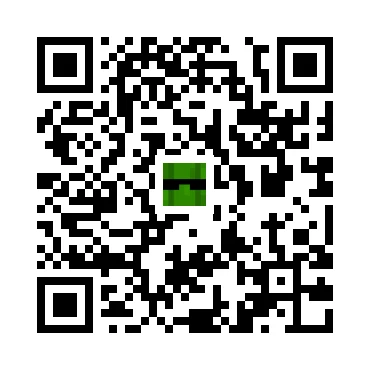 skins.qr_code_alt