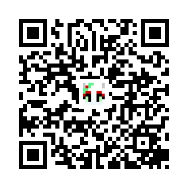skins.qr_code_alt