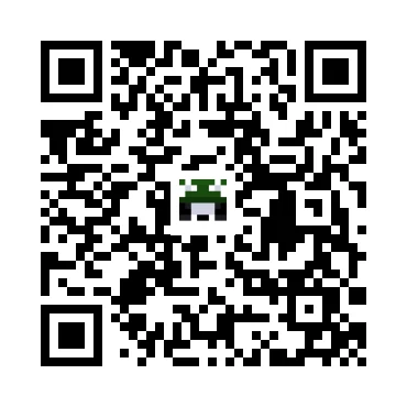 skins.qr_code_alt