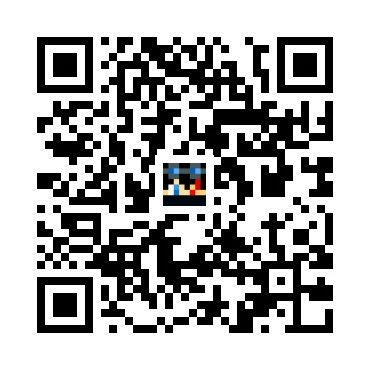 skins.qr_code_alt