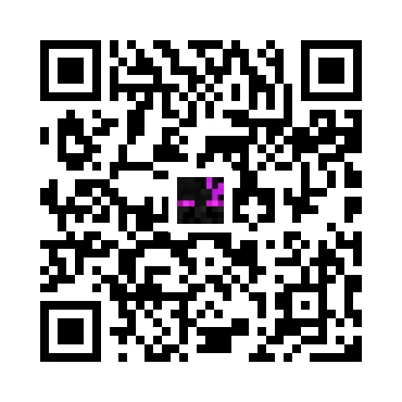 skins.qr_code_alt