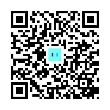 skins.qr_code_alt