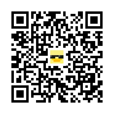 skins.qr_code_alt