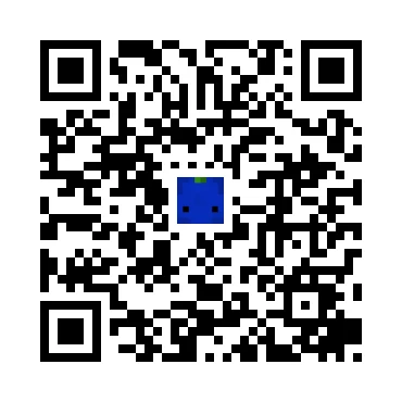 skins.qr_code_alt