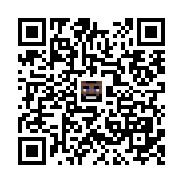 skins.qr_code_alt