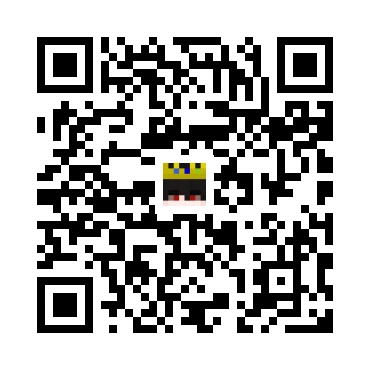 skins.qr_code_alt