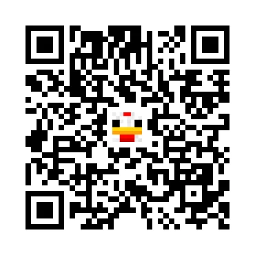 skins.qr_code_alt