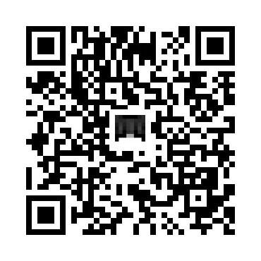 skins.qr_code_alt