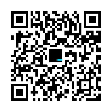 skins.qr_code_alt