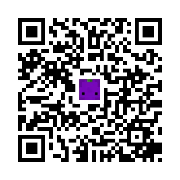 skins.qr_code_alt