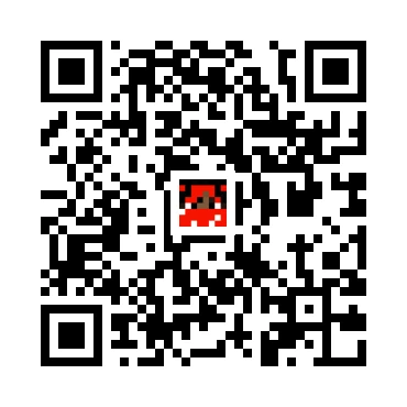 skins.qr_code_alt