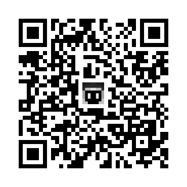 skins.qr_code_alt