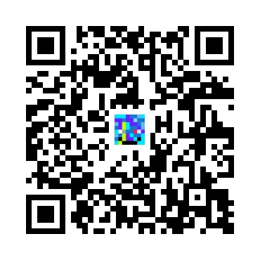 skins.qr_code_alt