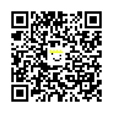 skins.qr_code_alt