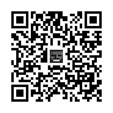 skins.qr_code_alt