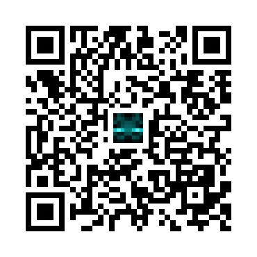 skins.qr_code_alt