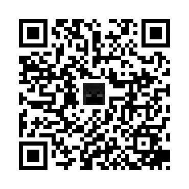 skins.qr_code_alt